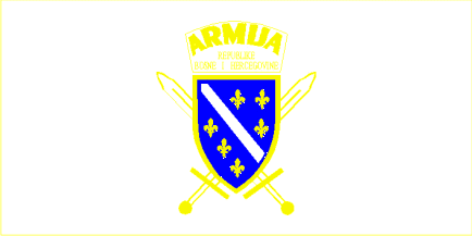 [Former Army flag]